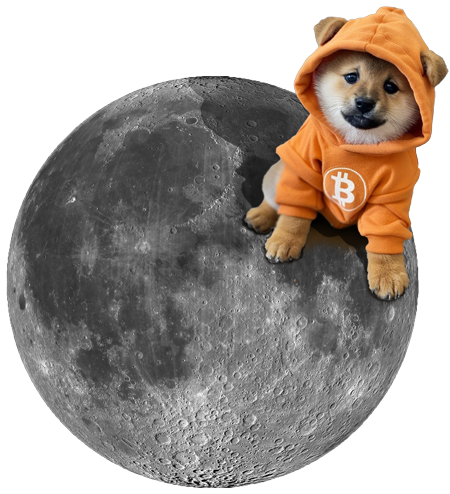 $DOG on the moon